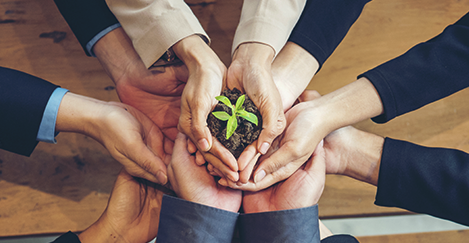 FMLホールディングス